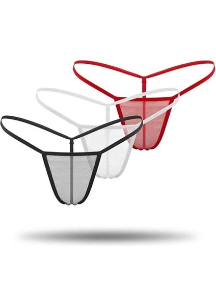 Kadın 3'lü Transparan Tül String TG271304