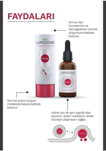 2li Lipozone Kids Lipozomal Çocuk Oral Damla Demir Takviyesi fırsatları
