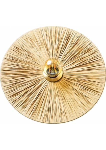 Doğal Renk Rafya Yuvarlak Modern Duvar Lambası Duvar Apliği modelleri