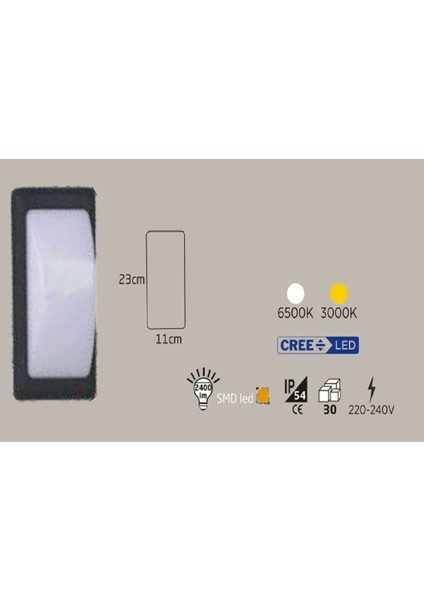 24W Siyah Kasa Dış Mekan LED Aplik Elips Boş (6500K)