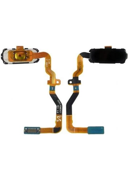 Galaxy S7 G930 Home Tuş Joystic Film