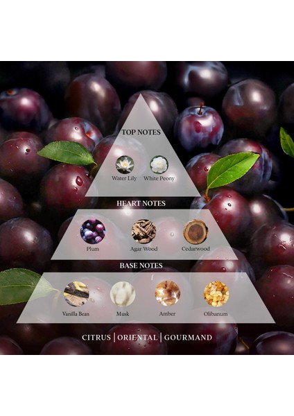 Dark Plum Fusion Saç & Vücut Misti 100 ml - Sınırlı Sayıda