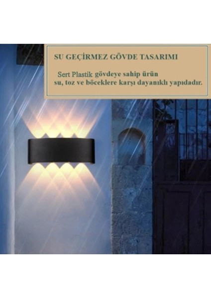 Dekoratif Çift Yönlü Duvar Aydınlatma LED Aplik Duvar Lambası Horoz Proton-8 Desenli Duvar Aplik