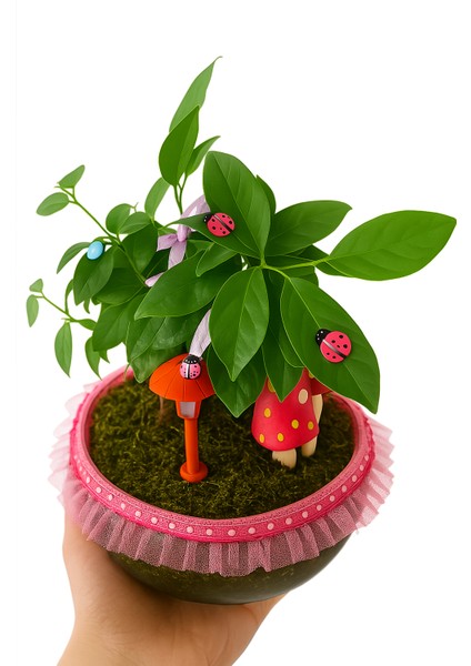 Efsun Bonsai – Özel Süslemeli Ficus Ginseng Şık ve Doğal Dekoratif Ağaç modelleri