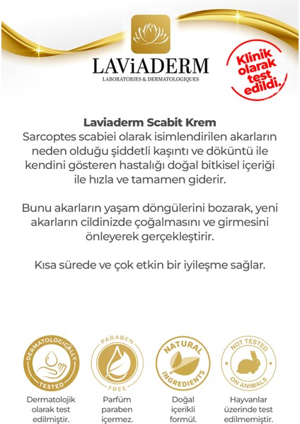 Nosca Onarıcı Krem