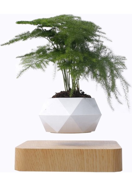Elite Floating Pot Uçan Bitki Saksısı Manyetik Levitasyon 1 Adet