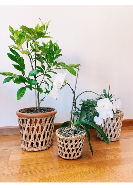 Elite 3 Lü Set Hasır Rattan El Yapımı Saksı 1 Adet