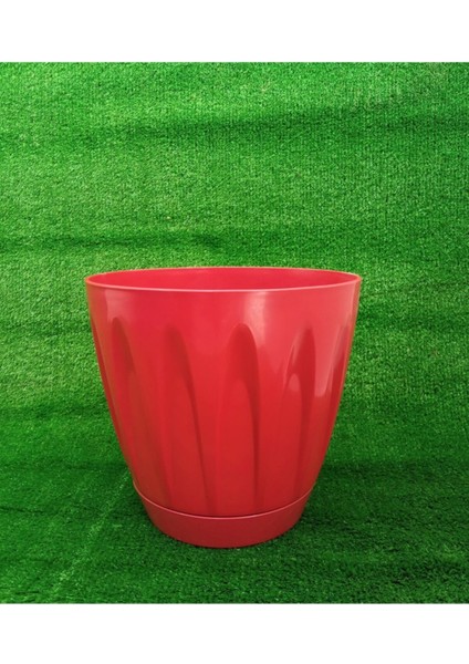 Elite Papatya Saksı 6 Litre 1 Adet Kırmızı Renk Bahçe Saksı Renkli Çiçek Saksısı Yuvarlak Çiçek Saksısı 1 Adet