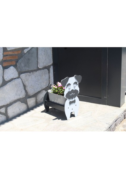 Elite Köpek Saksı 1 Adet fiyatları