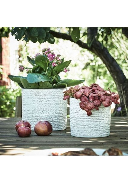 Elite Chıafrön 12 cm Stoneware Dekoratif Beyaz Saksı 1 Adet