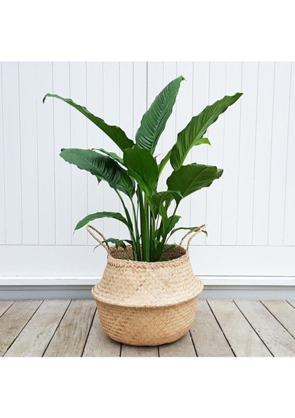 Elite Large Boy Katlanabilir Hasır Sepet / Saksılık 35X32CM 1 Adet