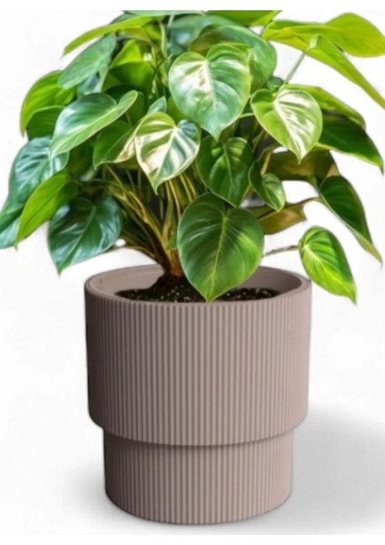 Elite Serinova Vega Saksı 33 Litre 1 Adet fiyatları