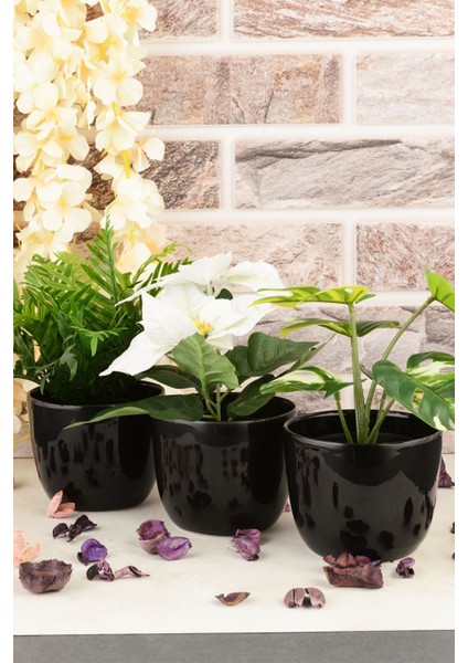Elite Angdesign Karmen Seramik Saksı 12 cm 3'lü Siyah 1 Adet
