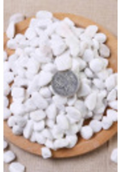 Elite Beyaz Dolomit Taş 20 kg 1,5-2,5 cm Dere Çakıl Taşı Bahçe Süs Taşı Saksı Teraryum Taşı 1 Adet