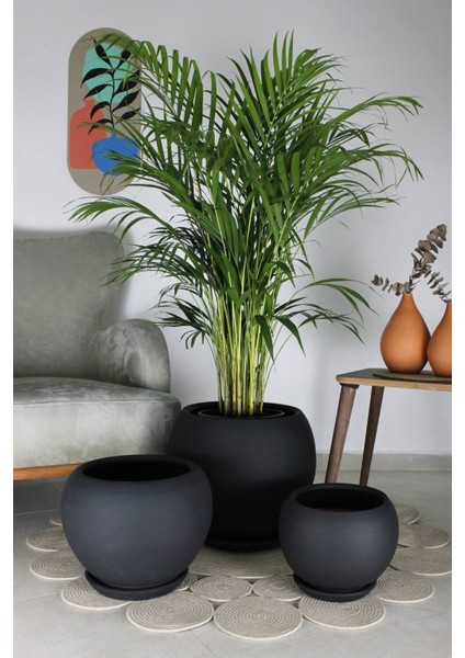 Elite Küre Model Çömlek Saksı Siyah H:29CM-ÇAP:32CM 1 Adet