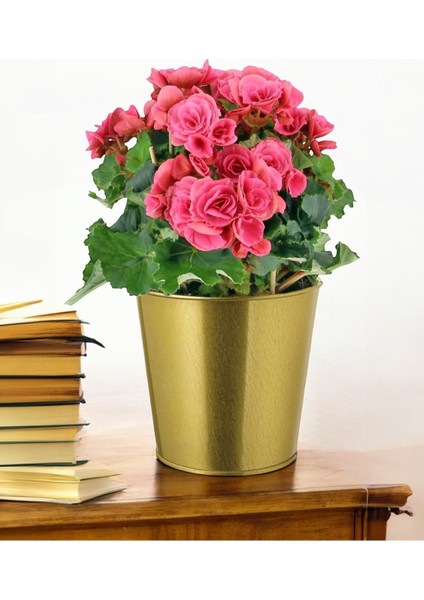 Elite Dekoratif Gold Saksı - 12 cm 1 Adet