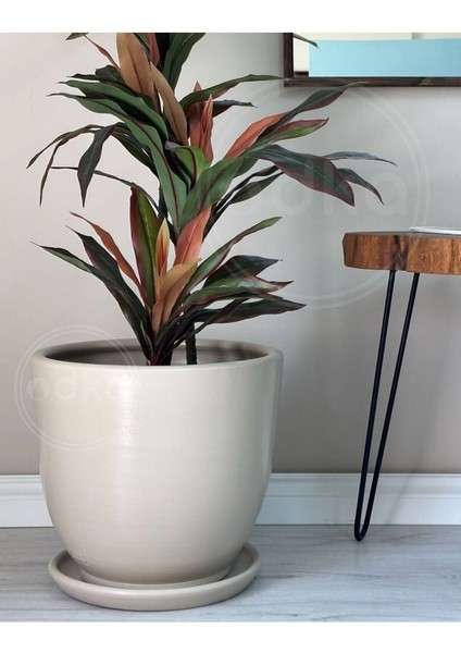 Elite 20LITRE Klasik Saksı Tabaklı 30CMX30CM Taş 1 Adet