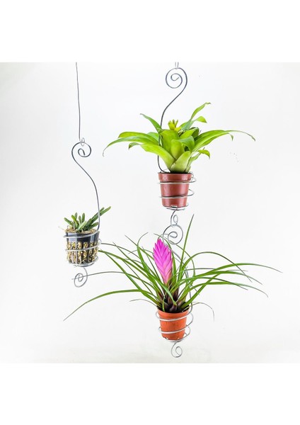 Elite Mini Pot Hanger (3 Adet) Saksılı Çiçek Askılığı - 5.5 cm Saksı Uyumlu Askı Pot Hanger 1 Adet
