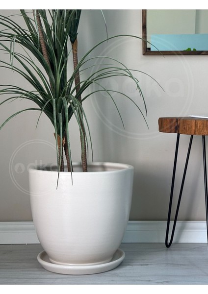 Elite 10LITRE Saksı Tabaklı Çap: 25CMX YÜKSEKLIK:23CM Ekru 1 Adet