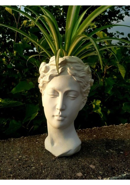 Elite Büyük Boy Beyaz Helen Heykel Vazo Antik Saksı Büst Biblo 1 Adet