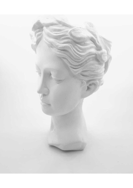 Elite Büyük Boy Beyaz Helen Heykel Vazo Antik Saksı Büst Biblo 1 Adet modelleri