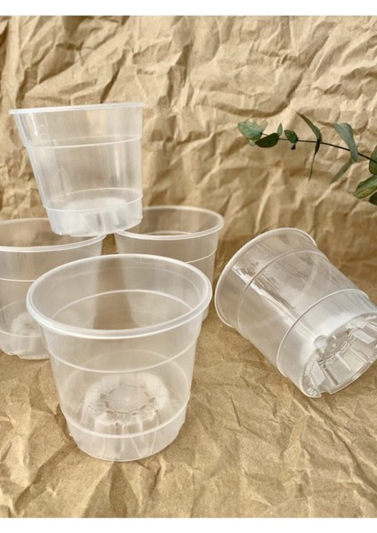 Elite Orkide Üretim Saksısı Şeffaf Orkide Çiçeği Saksı 3 Adet 0,75 Litre Tabaksız Delikli Saksılar 1 Adet