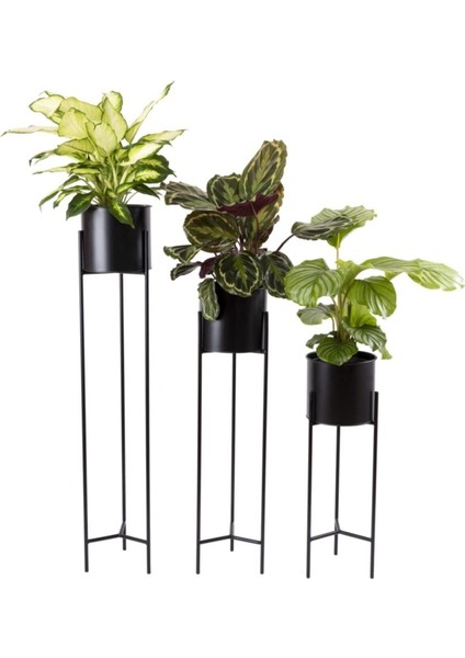 Elite 3 Boy Siyah Saksılık Dekoratif Ayaklı Metal Çiçeklik | 83CM-72CM-64CM Saksı 1 Adet fırsatları