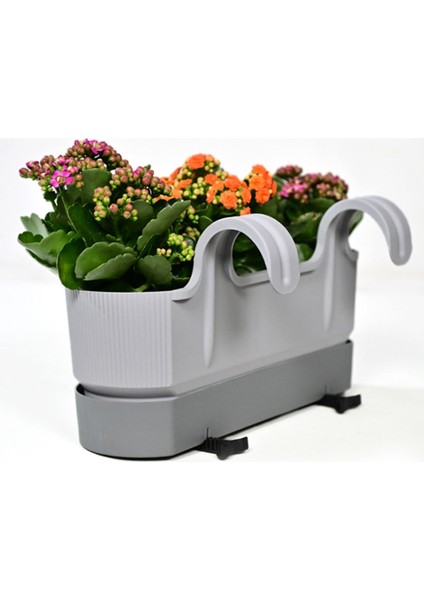 Elite 1 Adet Ixora Çift Askılı Balkon Saksısı Gri Renk 5,8 Lt Genişlik 39,5 cm Yükseklik 22 cm Derinlik 17 1 Adet