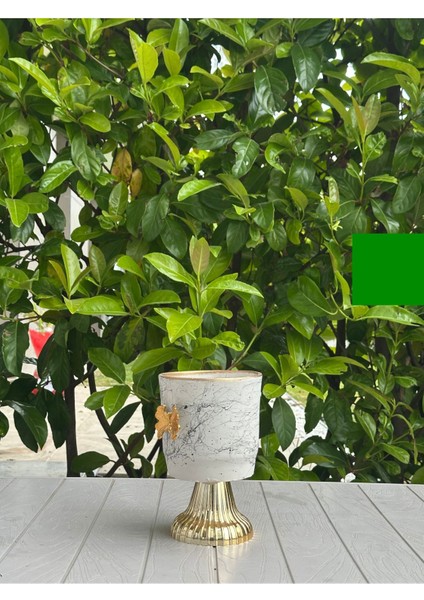 Elite Seramik Saksı Mermer Desenli Detaylı 20CM Yükseklik , 13CM Çap (1 Adet ) 1 Adet modelleri