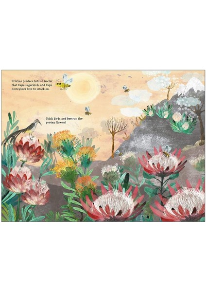 The Big Sticker Book Of Blooms fiyatları