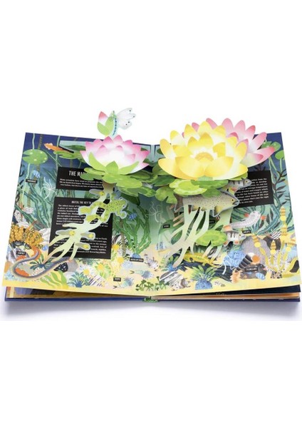 Pop-Up Earth - Hardback