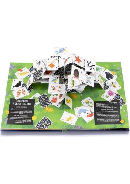 Pop-Up Earth - Hardback