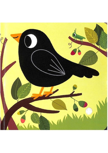 LISTEN TO THE BIRDS