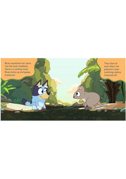 Bluey - The Creek - Board Book