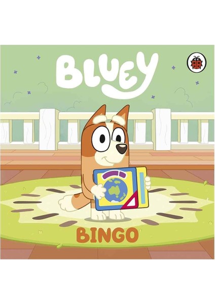 Bluey - Bingo - Board Book