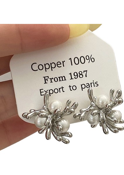 Niş Mizaç Küpe Trendi Banliyö Küpeleri Ile Yüz (Yurt Dışından)