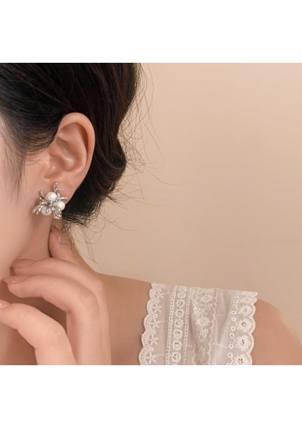 Niş Mizaç Küpe Trendi Banliyö Küpeleri Ile Yüz (Yurt Dışından) fiyatları