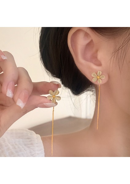 Niş Mizaç Metal Küpe Trendi Tasarım Küpeleri (Yurt Dışından) fiyatları