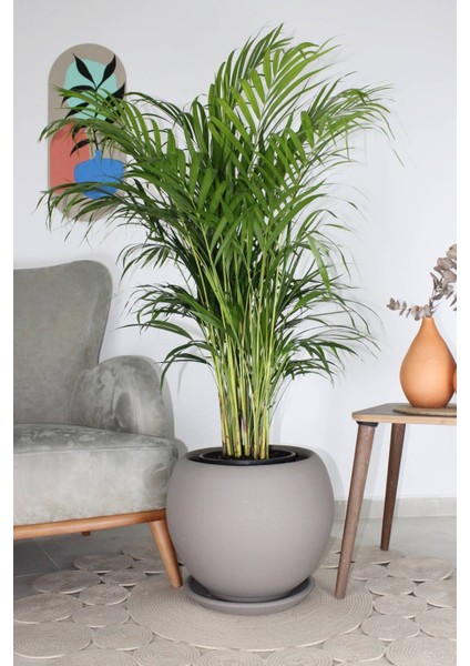 Elite Küre Model Çömlek Saksı Vizon H:29CM-ÇAP:32CM 1 Adet