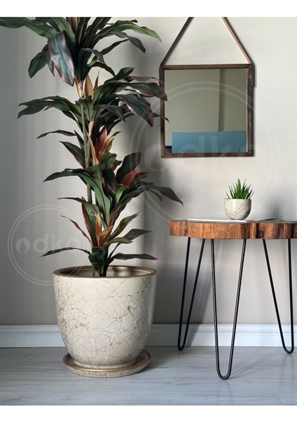 Elite 20LITRE Klasik Saksı Tabaklı 30CMX30CM Lily Taş Gold Beyaz 1 Adet