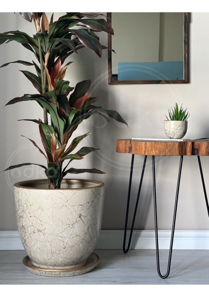 Elite 20LITRE Klasik Saksı Tabaklı 30CMX30CM Lily Taş Gold Beyaz 1 Adet fiyatları