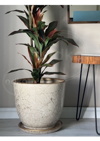 Elite 20LITRE Klasik Saksı Tabaklı 30CMX30CM Lily Taş Gold Beyaz 1 Adet modelleri