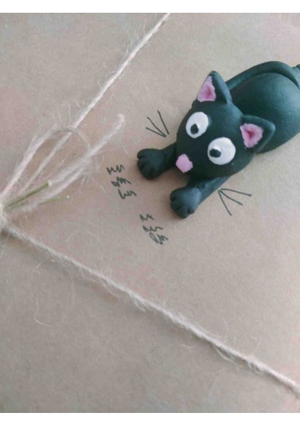 💌 "sıradan Pakete Elveda, Minik Mutluluğa Merhaba!"😻 "hediye Paketine Miyavlı Sürpriz!"