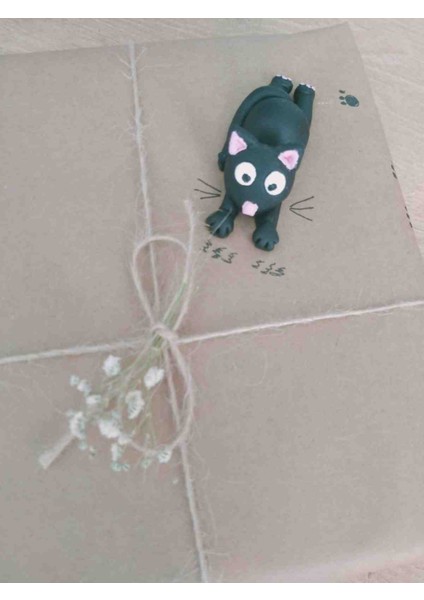 💌 "sıradan Pakete Elveda, Minik Mutluluğa Merhaba!"😻 "hediye Paketine Miyavlı Sürpriz!" modelleri
