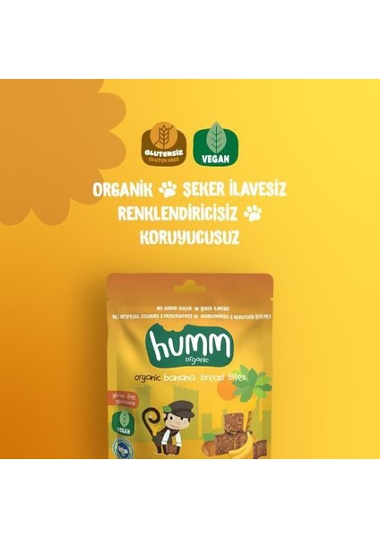 Nessiworld Humm Organik Glutensiz Vegan Muzlu Kek 30 gr fiyatları