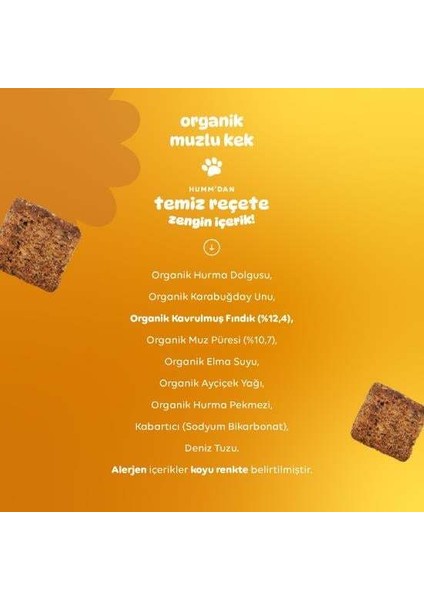 Nessiworld Humm Organik Glutensiz Vegan Muzlu Kek 30 gr fırsatları