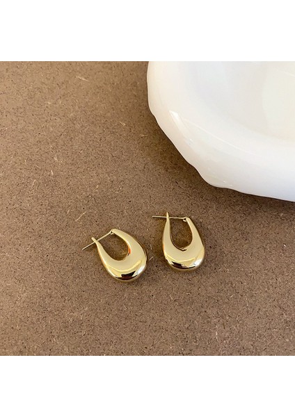 Niş Tasarım Metal Saplama Küpeler Moda Vintage Basit Moda Küpeler (Yurt Dışından)