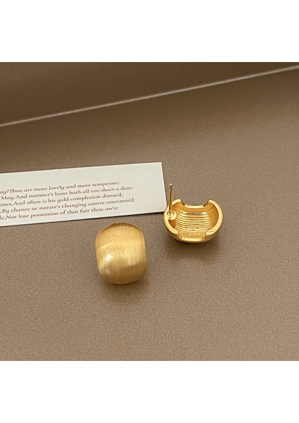 Niş Tasarım Metal Saplama Küpeler Moda Vintage Basit Moda Küpeler (Yurt Dışından)