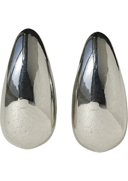 Niş Tasarım Çok Yönlü Küpe Kadın (Yurt Dışından)