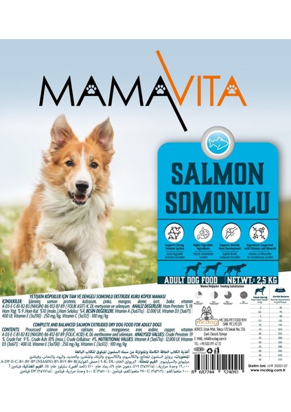 Somonlu Köpek Kuru Maması 10 kg (2.5kg x 4 Adet)
